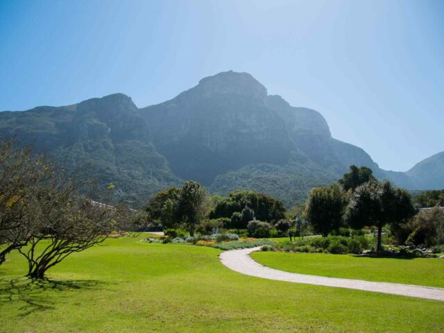 post_capetown_04 https://tatrasnow.pl/wp-content/uploads/2018/08/post_capetown_04-640x480.jpg